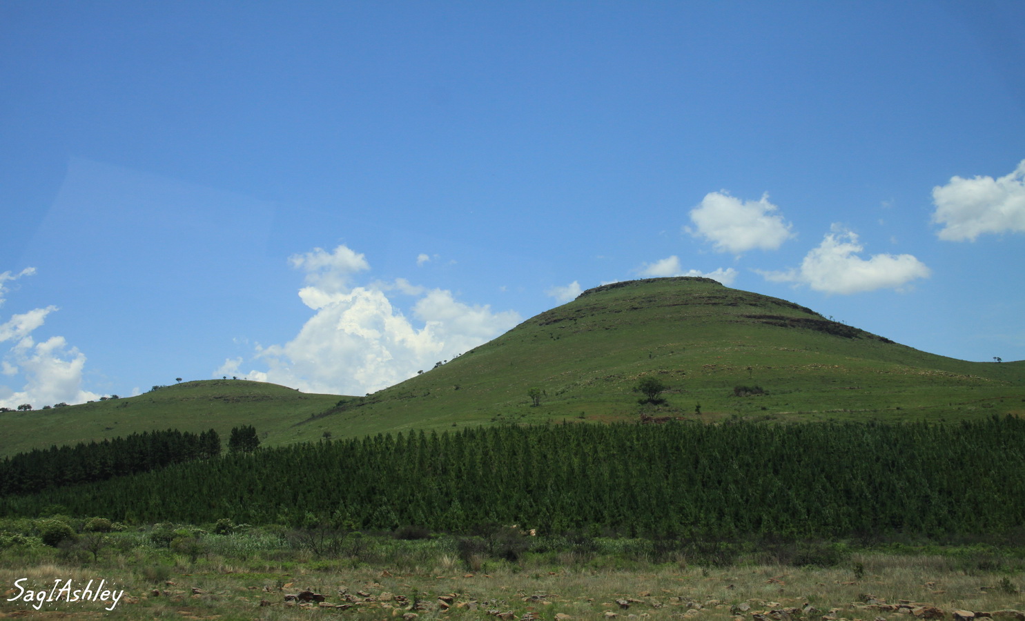 IMG_1600_GF.jpg