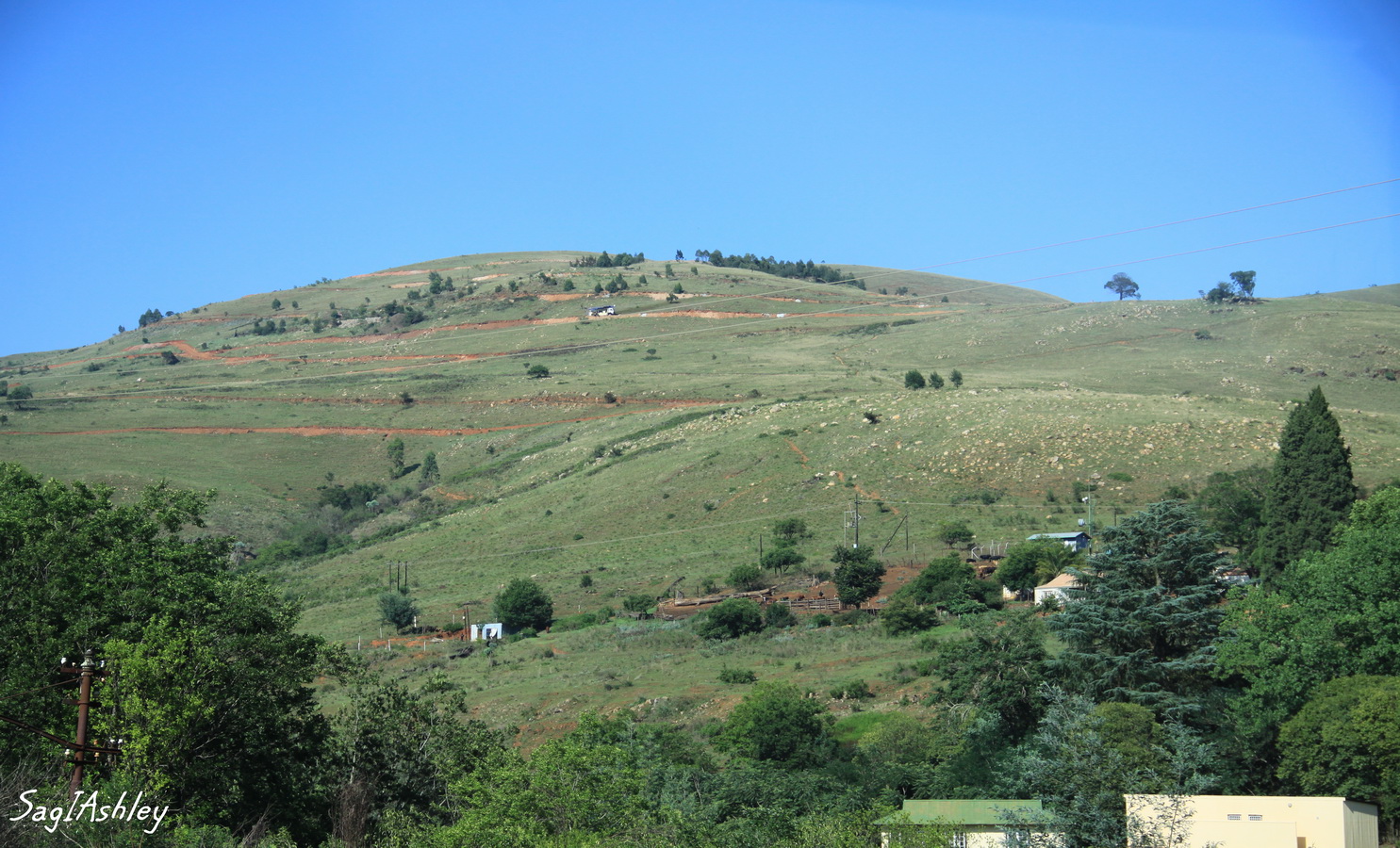 IMG_1730_GF.jpg
