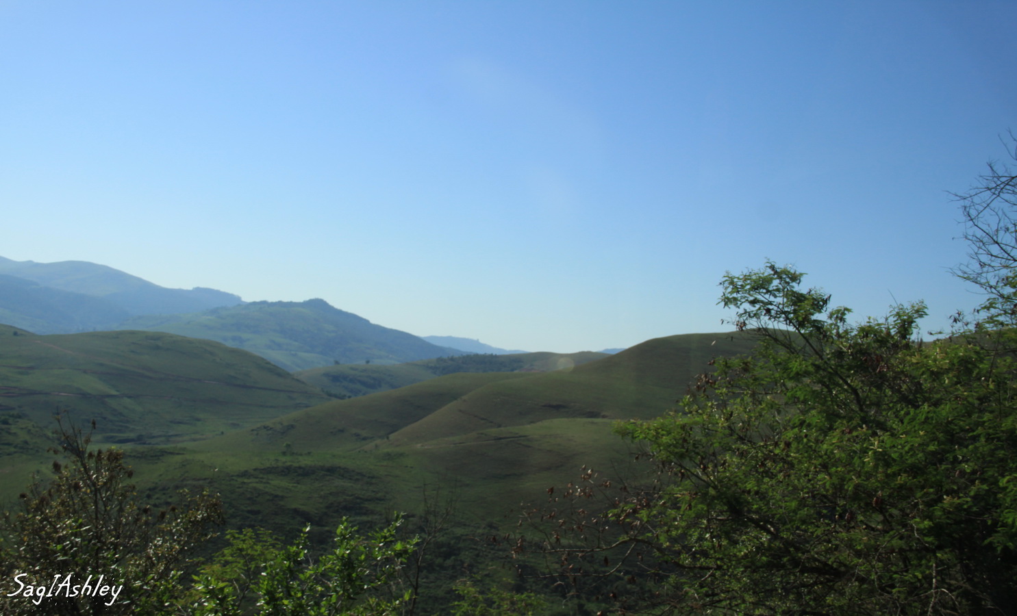 IMG_1736_GF.jpg