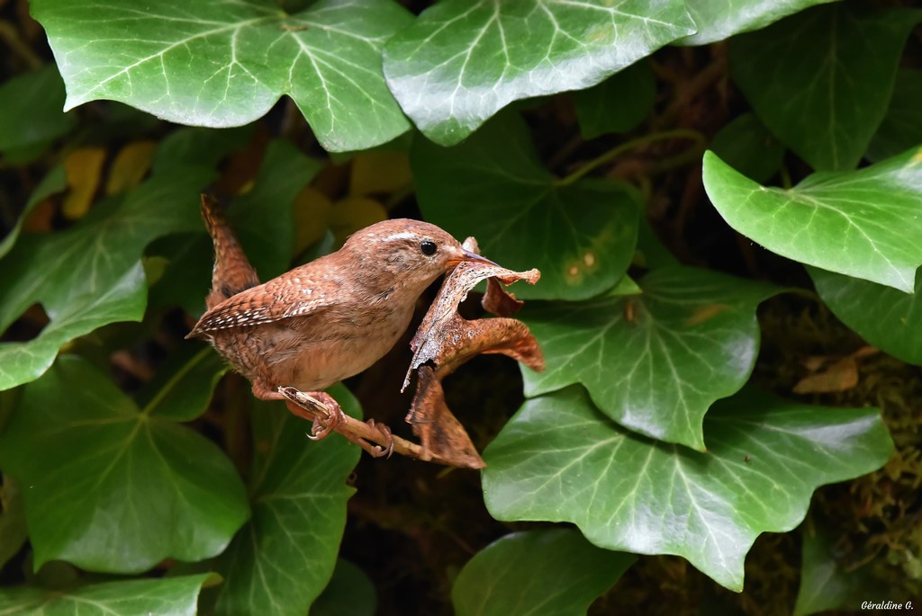 DSC_0156_filtered-001 (Copier).jpg