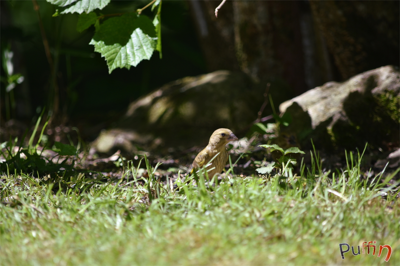 DSC_2471.JPG