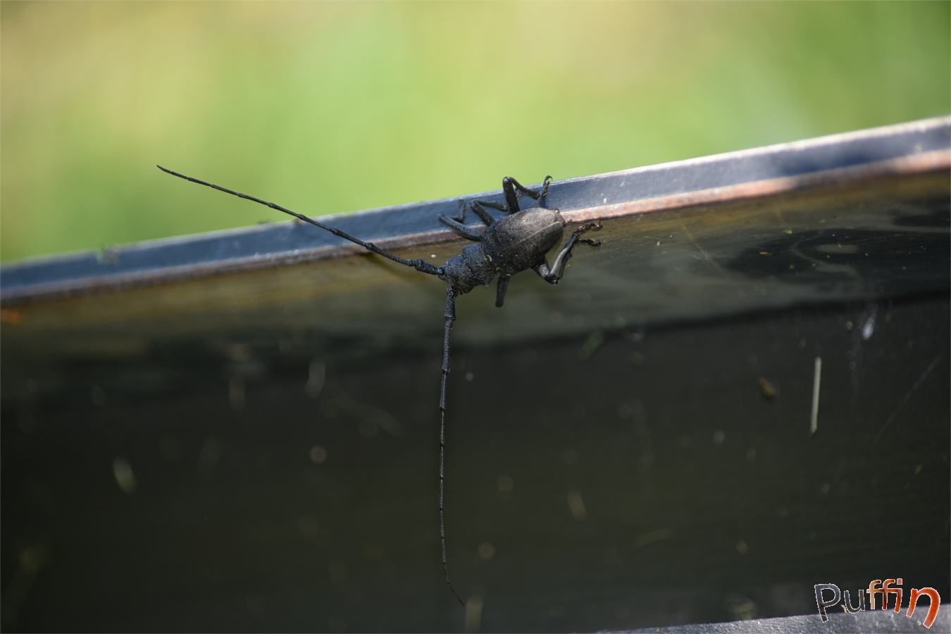 DSC_2434.JPG