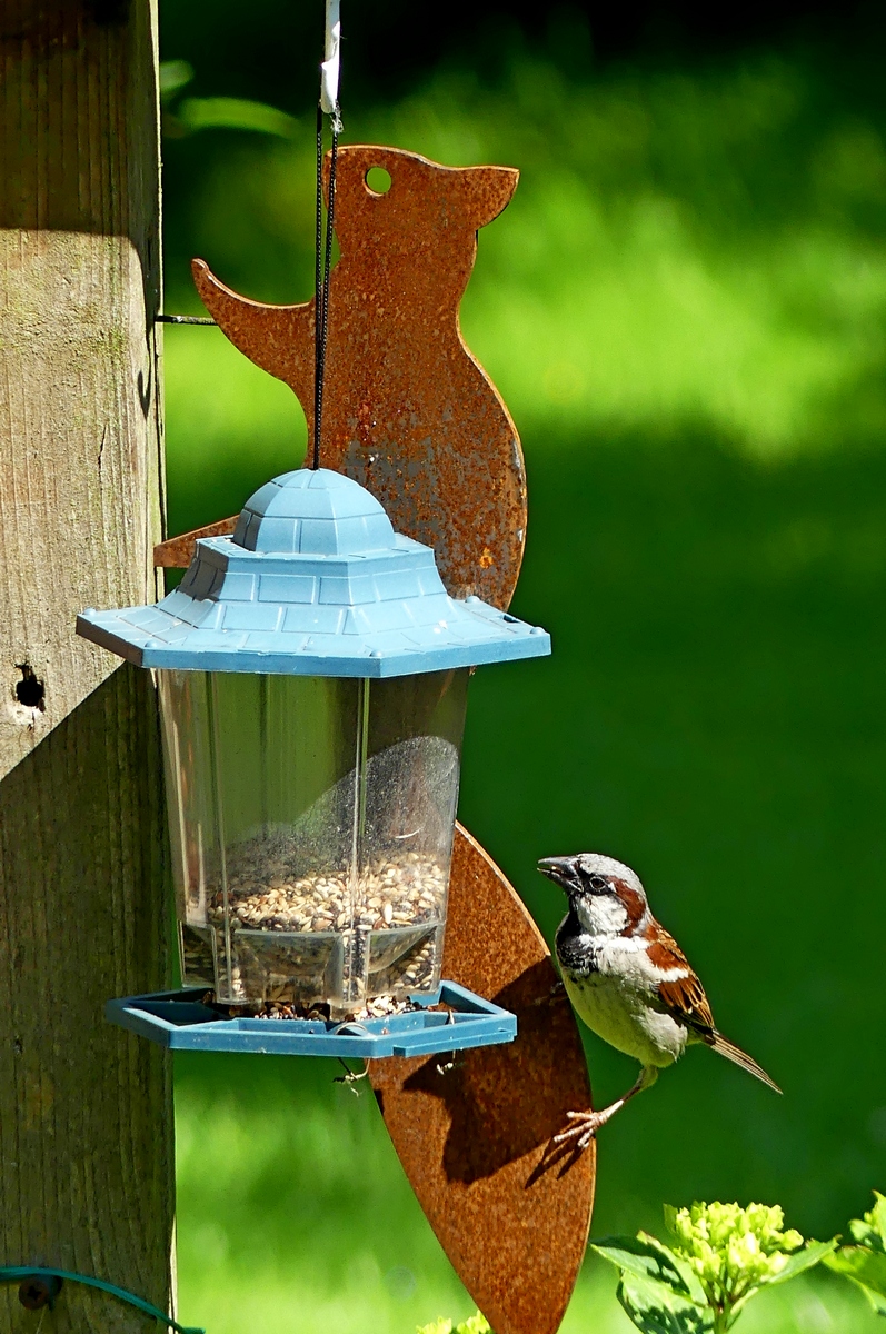 06.06.2019lumix.jpg_5.jpg