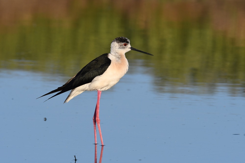 DSC_5344 - Copie.jpg