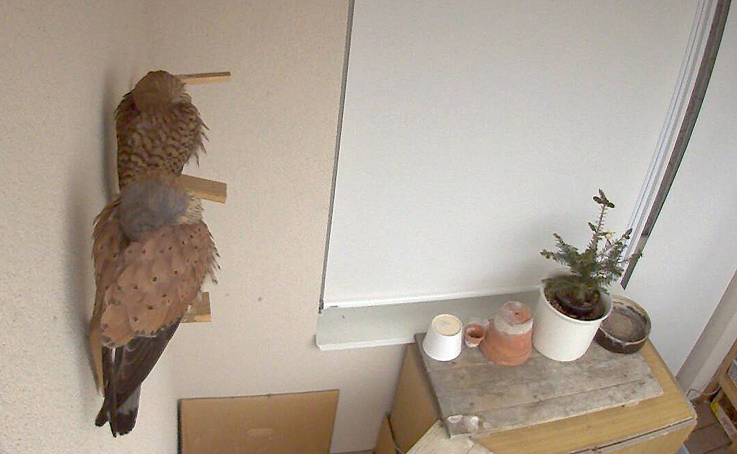 20180413_07-26-55_1u.jpg