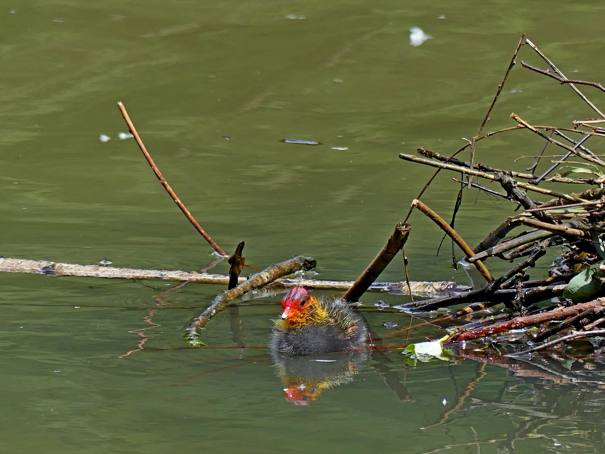 06.06.2019lumix.jpg_137.jpg