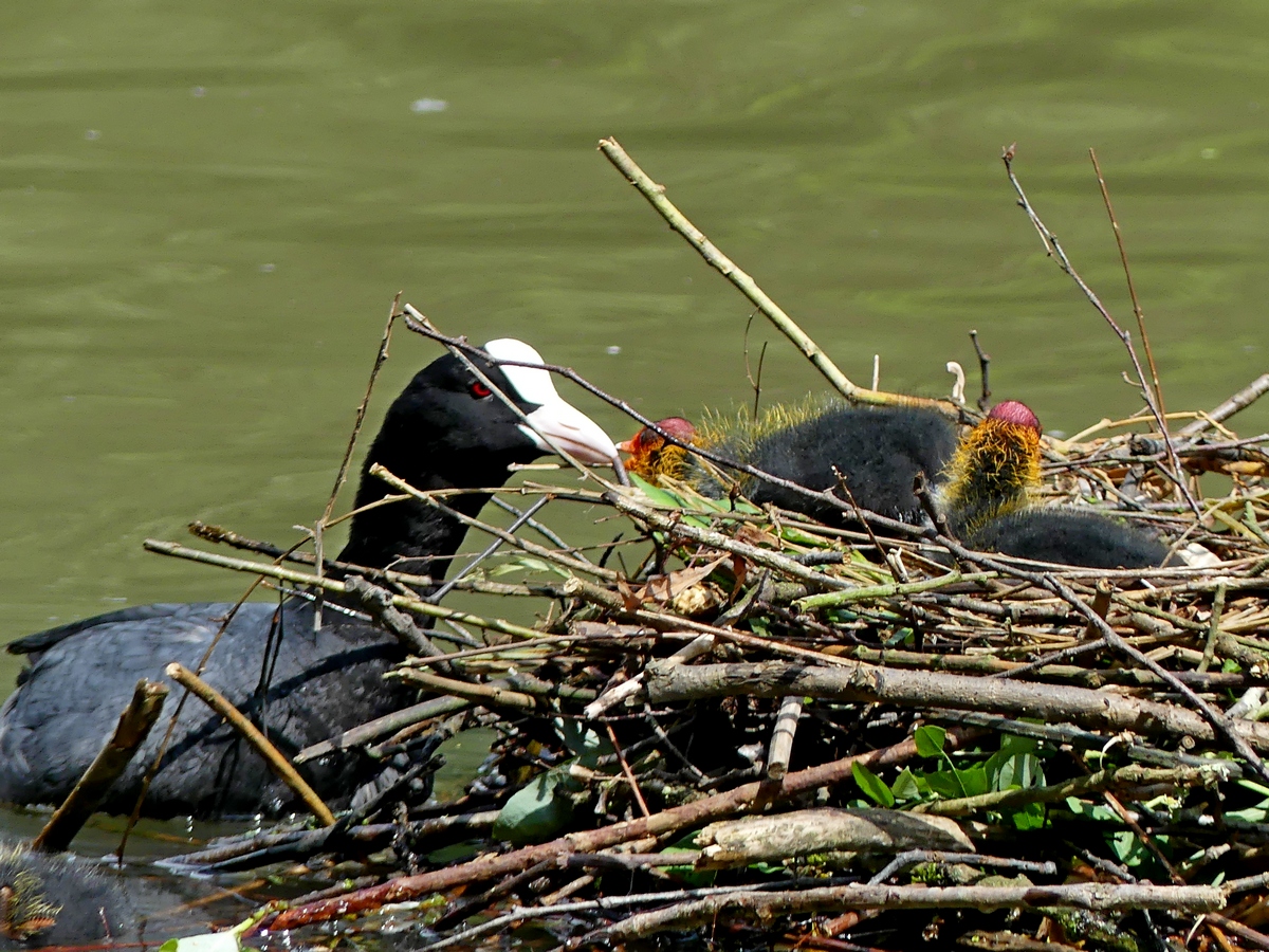 06.06.2019lumix.jpg_139.jpg