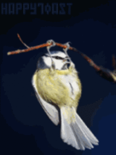 www.animated-gifs.eu-5507227.gif