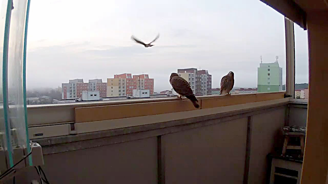 20190702-0917558832uprav.jpg