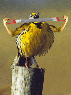 www.animated-gifs.eu-2381473.gif