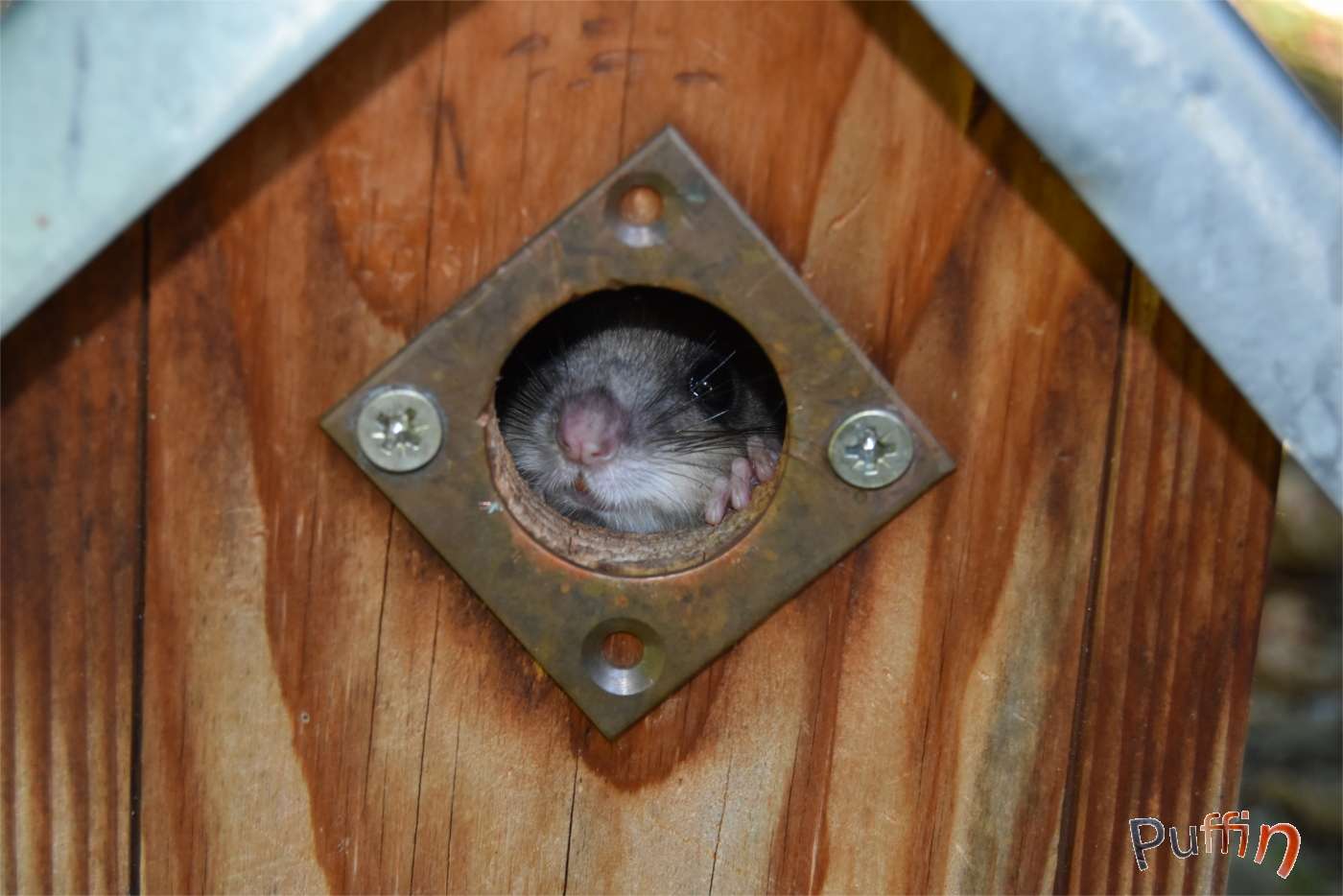 DSC_2704.JPG