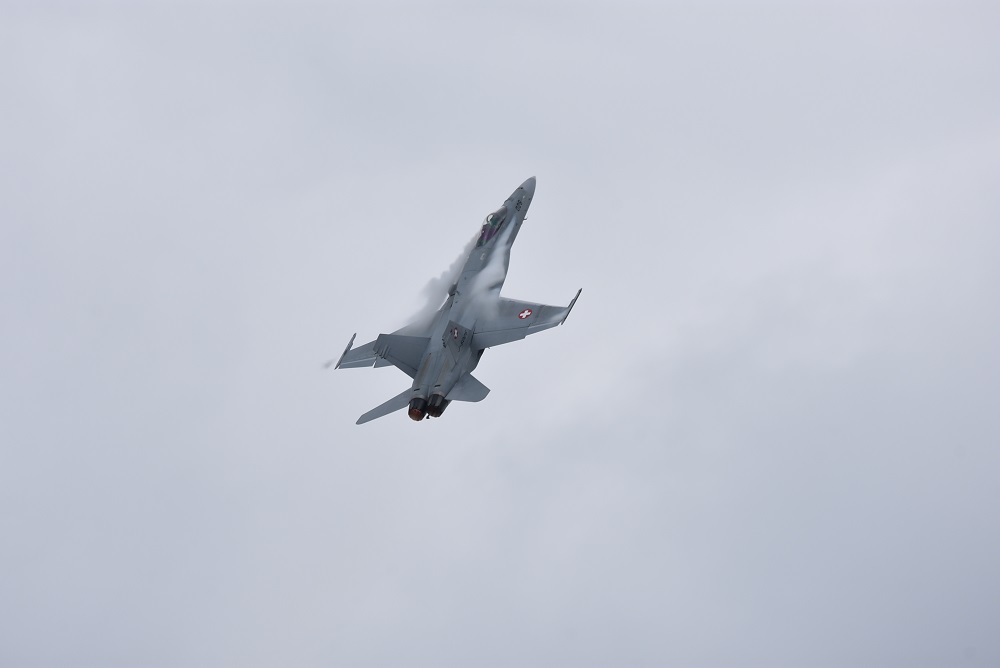 DSC_0463 - Copie.jpg