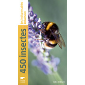 450 insectes.jpg
