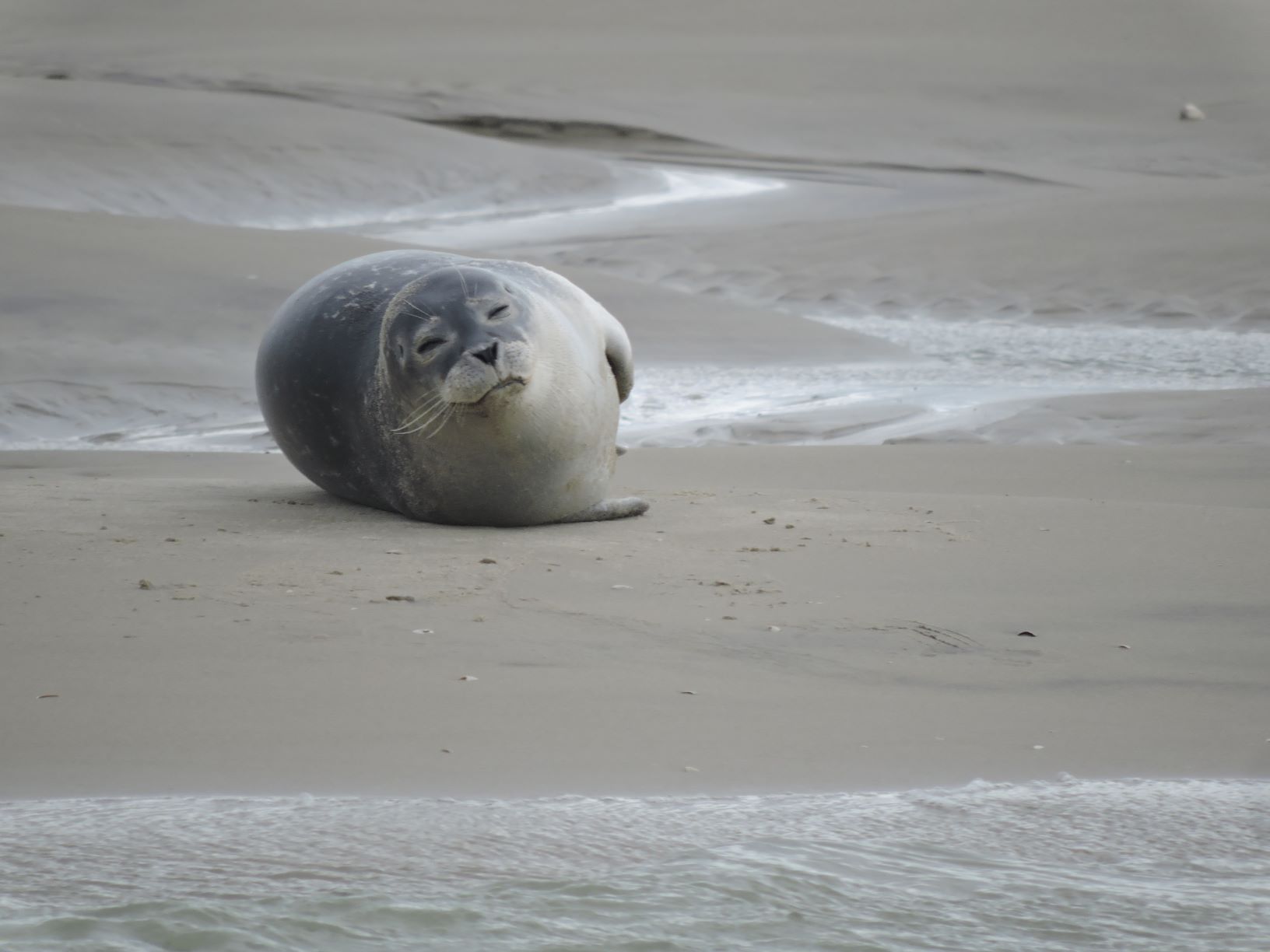 DSCN3490.JPG