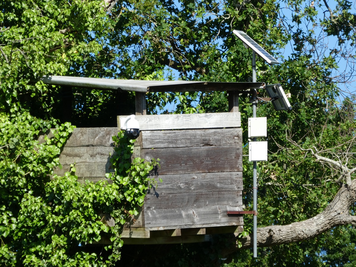 cabane.jpg