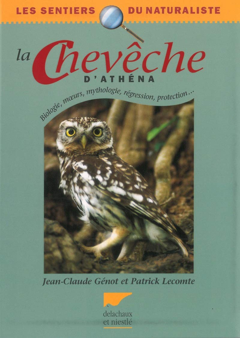 cheveche Genot.jpg