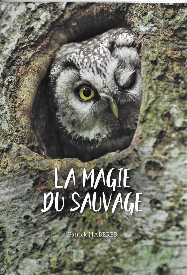 La magie du sauvage 1.jpg