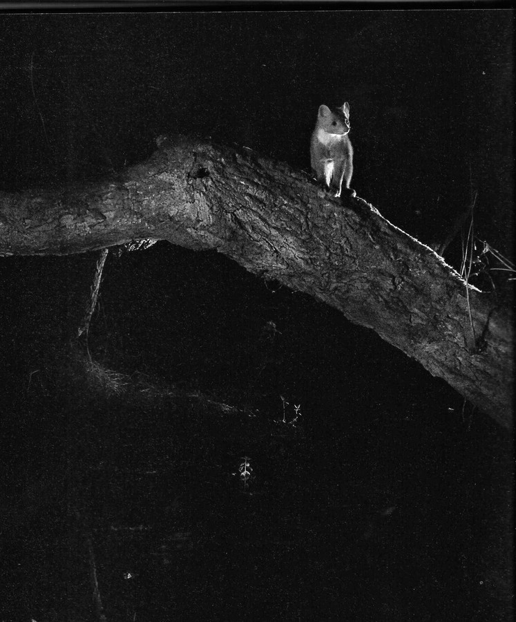Passeur de lune b.jpg