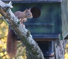 IMG_9557.jpgN2.jpg