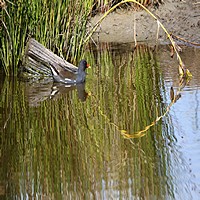 IMG_9523.jpg