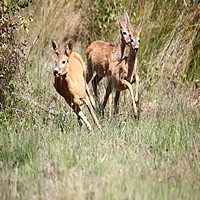 IMG_9512.jpg