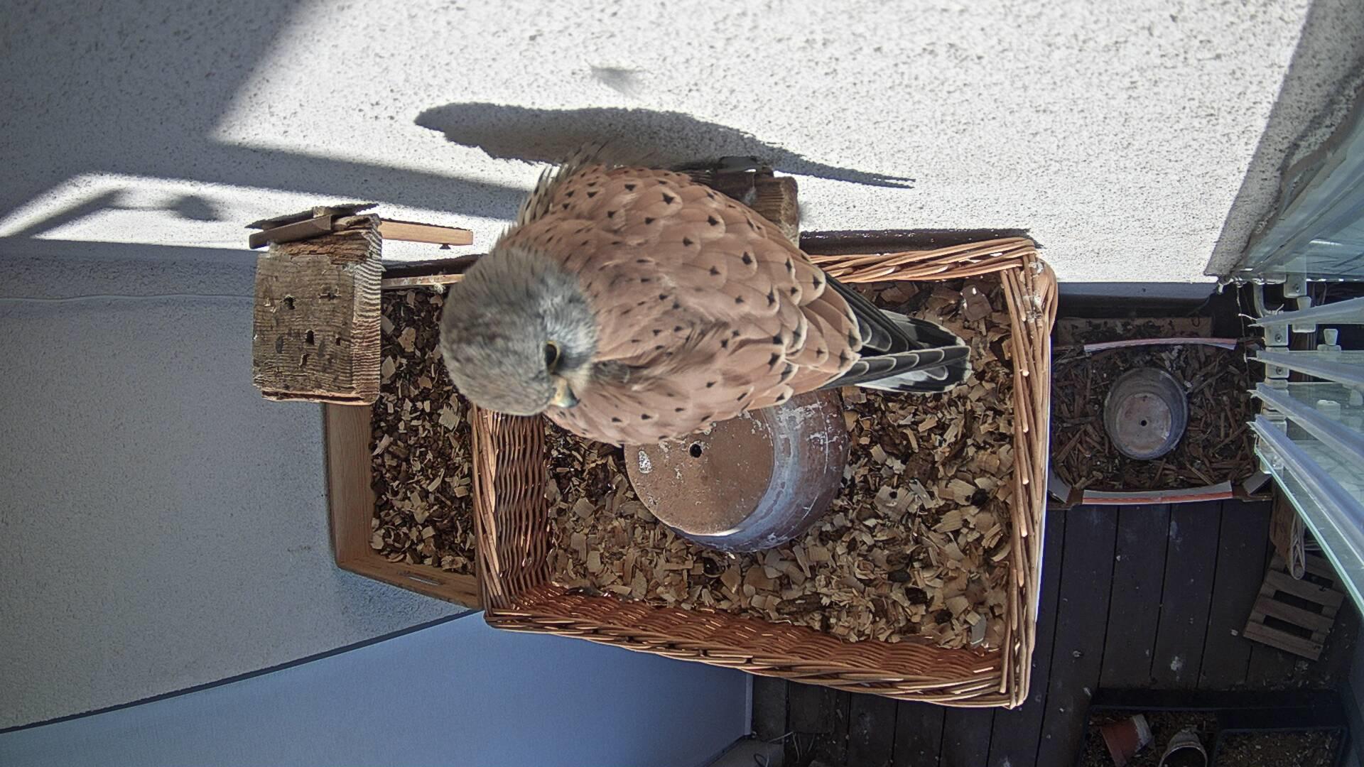 20191130_08-25-38.jpg