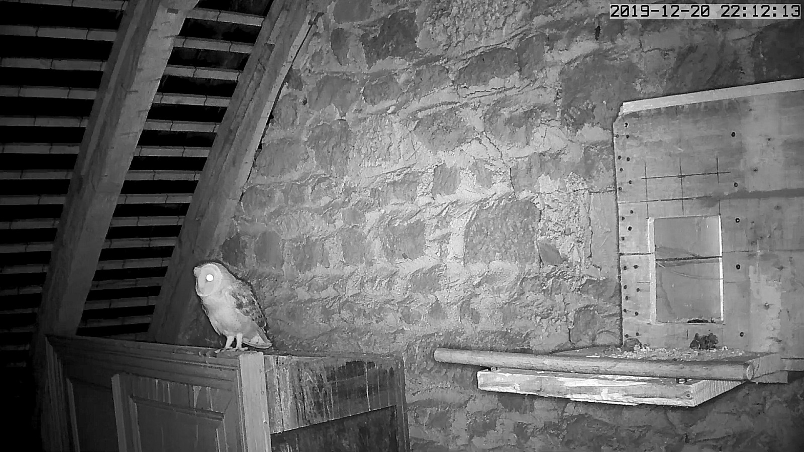 effraie 20 12 2019.jpg