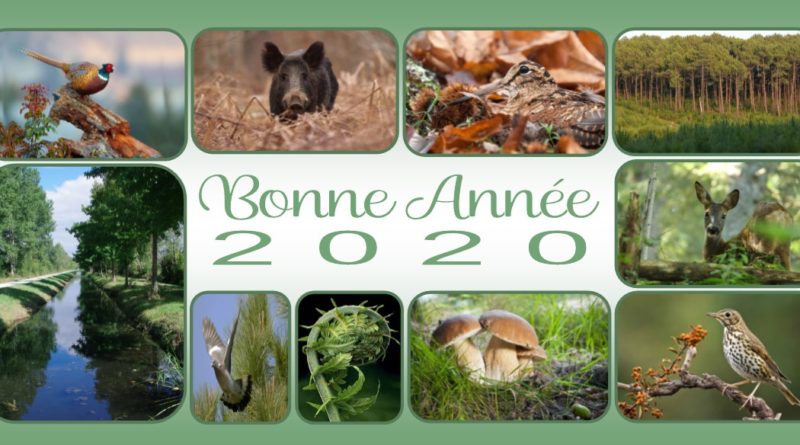 carte-de-voeux-recto-2020-faune-nature-slm-800x445.jpg