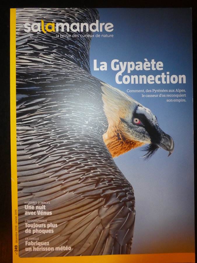 P1340733.JPG