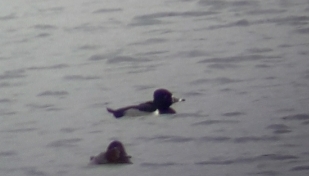 20200219_185721.jpg