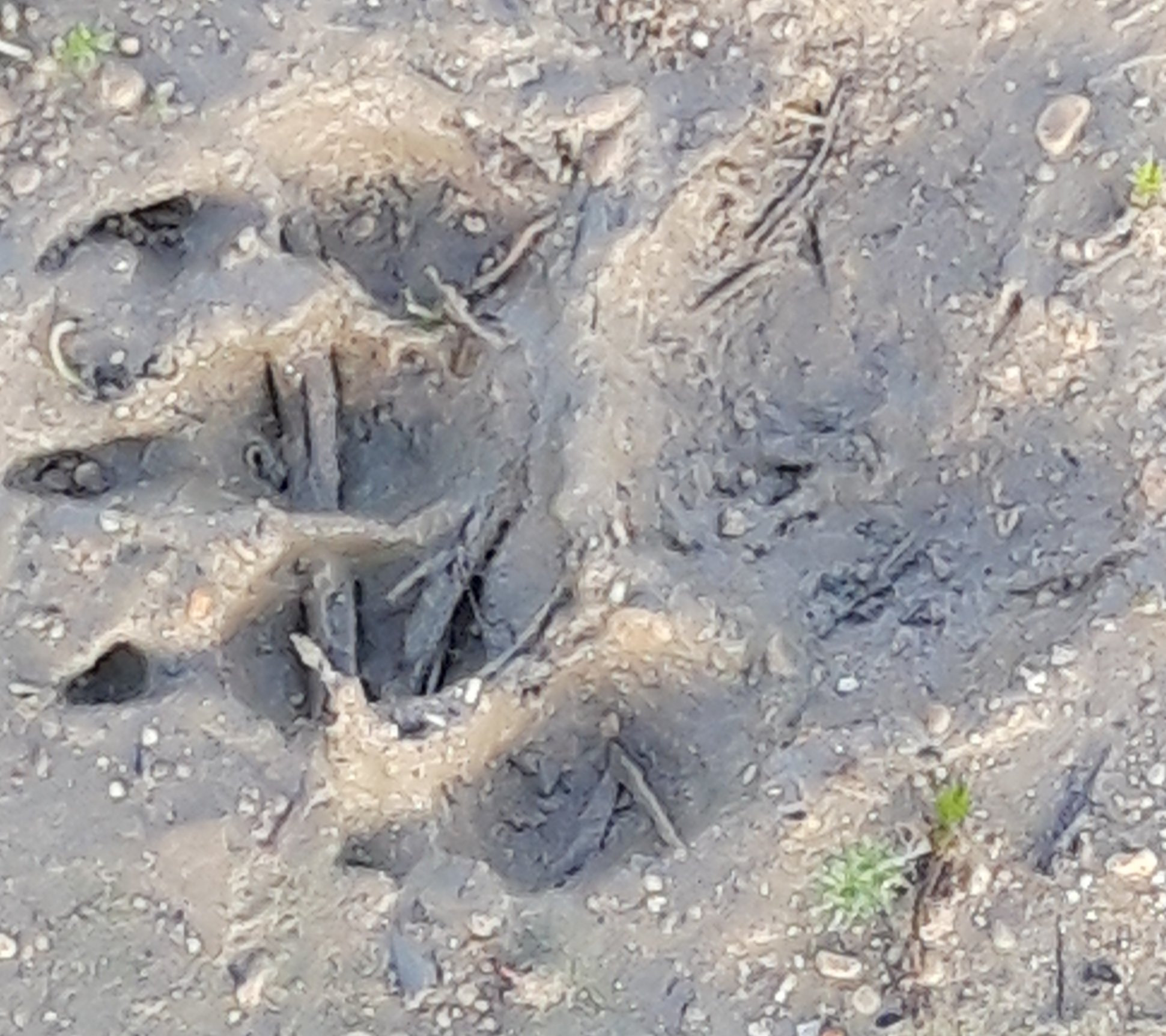 20200223_183557.jpg