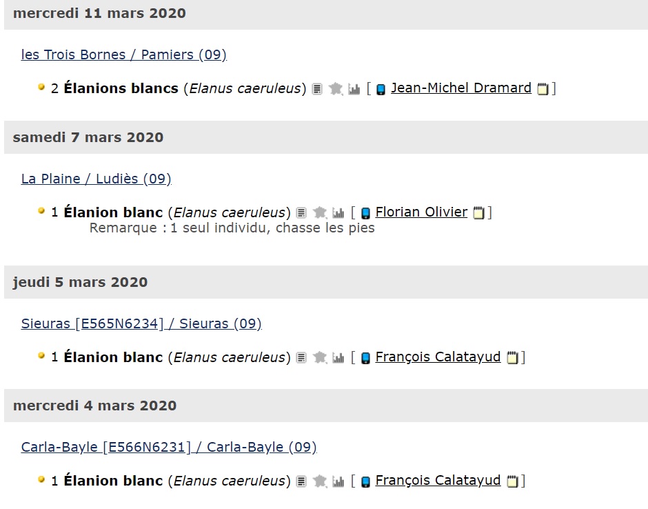 elanion_ariege.jpg