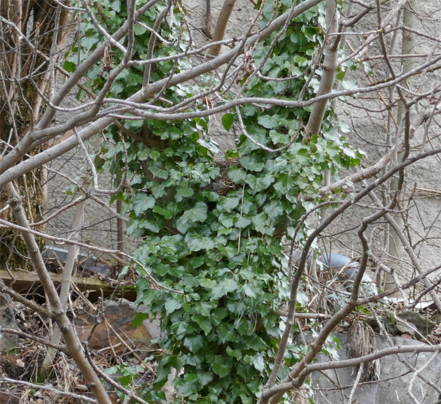 P1000122.JPG