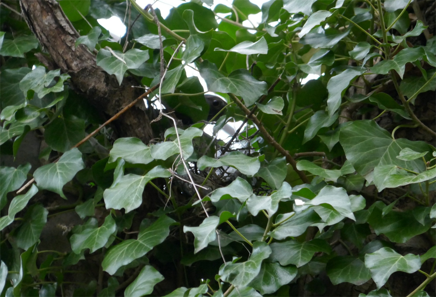 P1000120.JPG