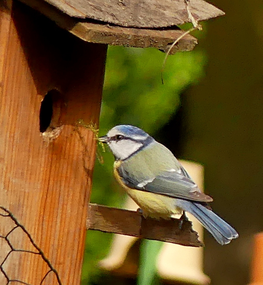 02.04.2020Lumix.jpg_4b.jpg