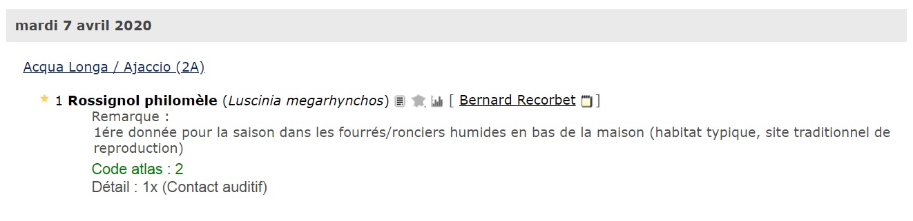 Faune_France_Rossignol_en_Corse_du_SUD.jpg