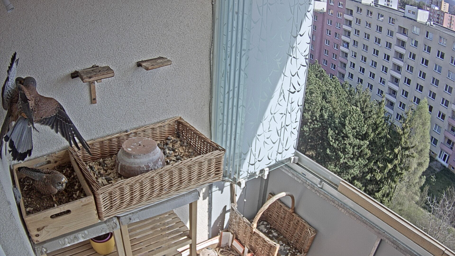 20200412-0046361569.jpg