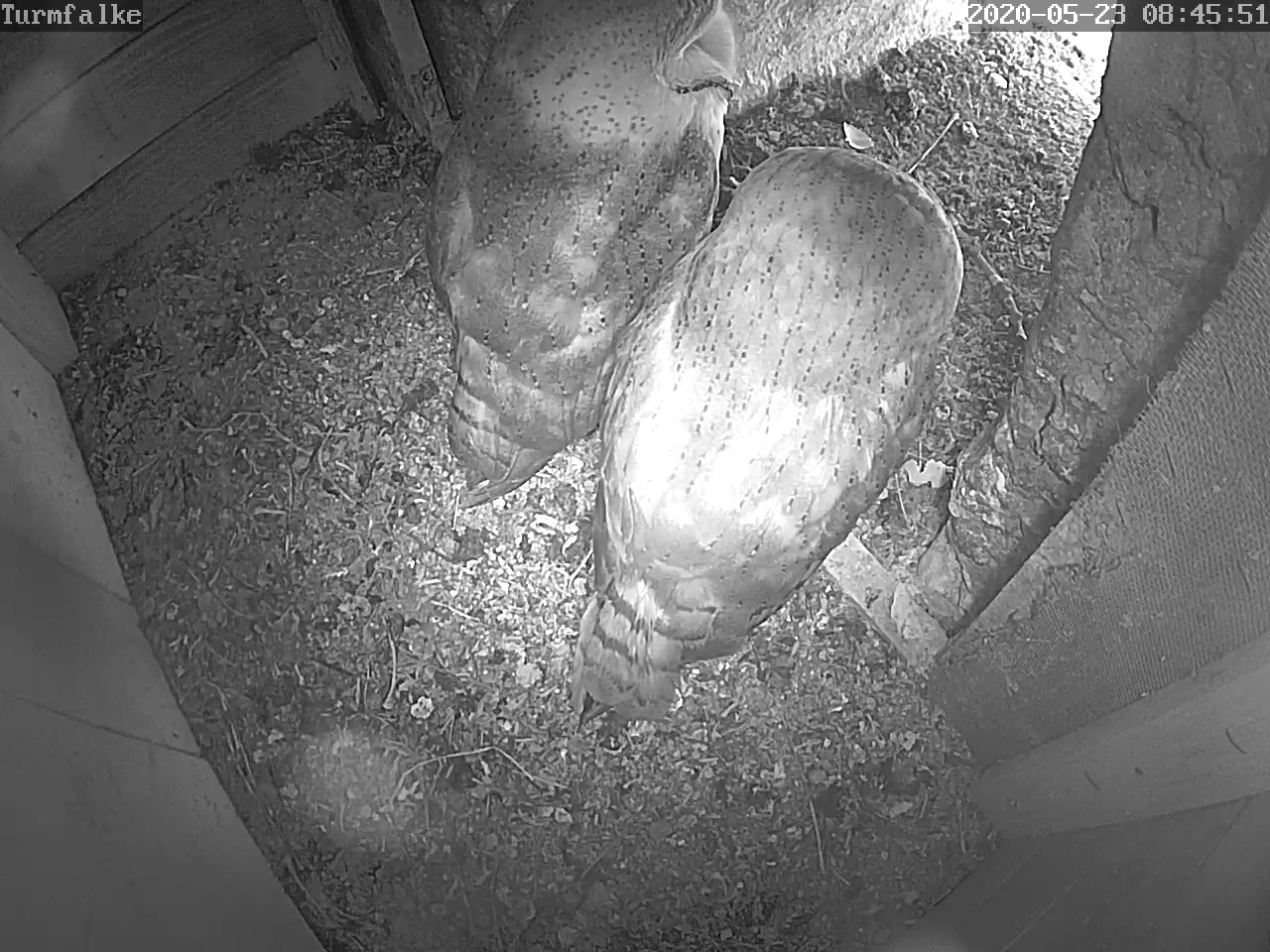 otterwisch_20200524.jpg