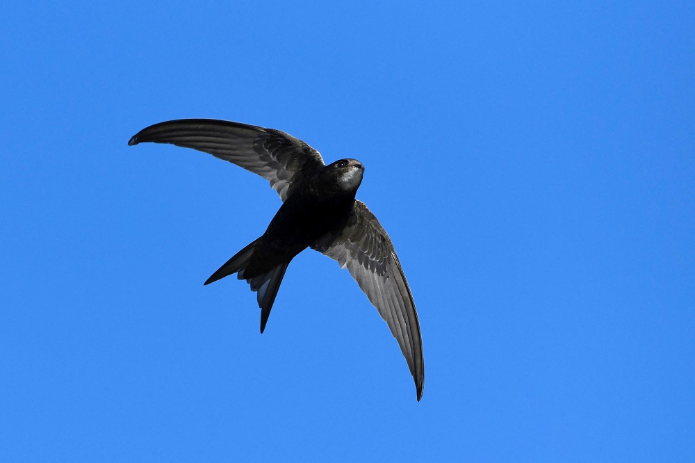 _DSC7666.jpg