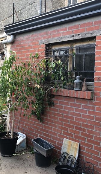 Photo 2 (2).jpg