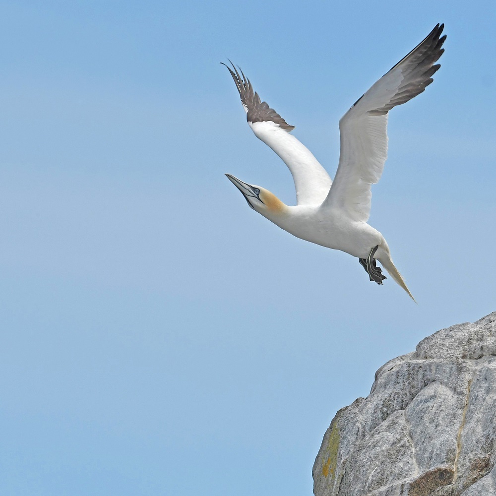 DSC_7092 - Copie.jpg