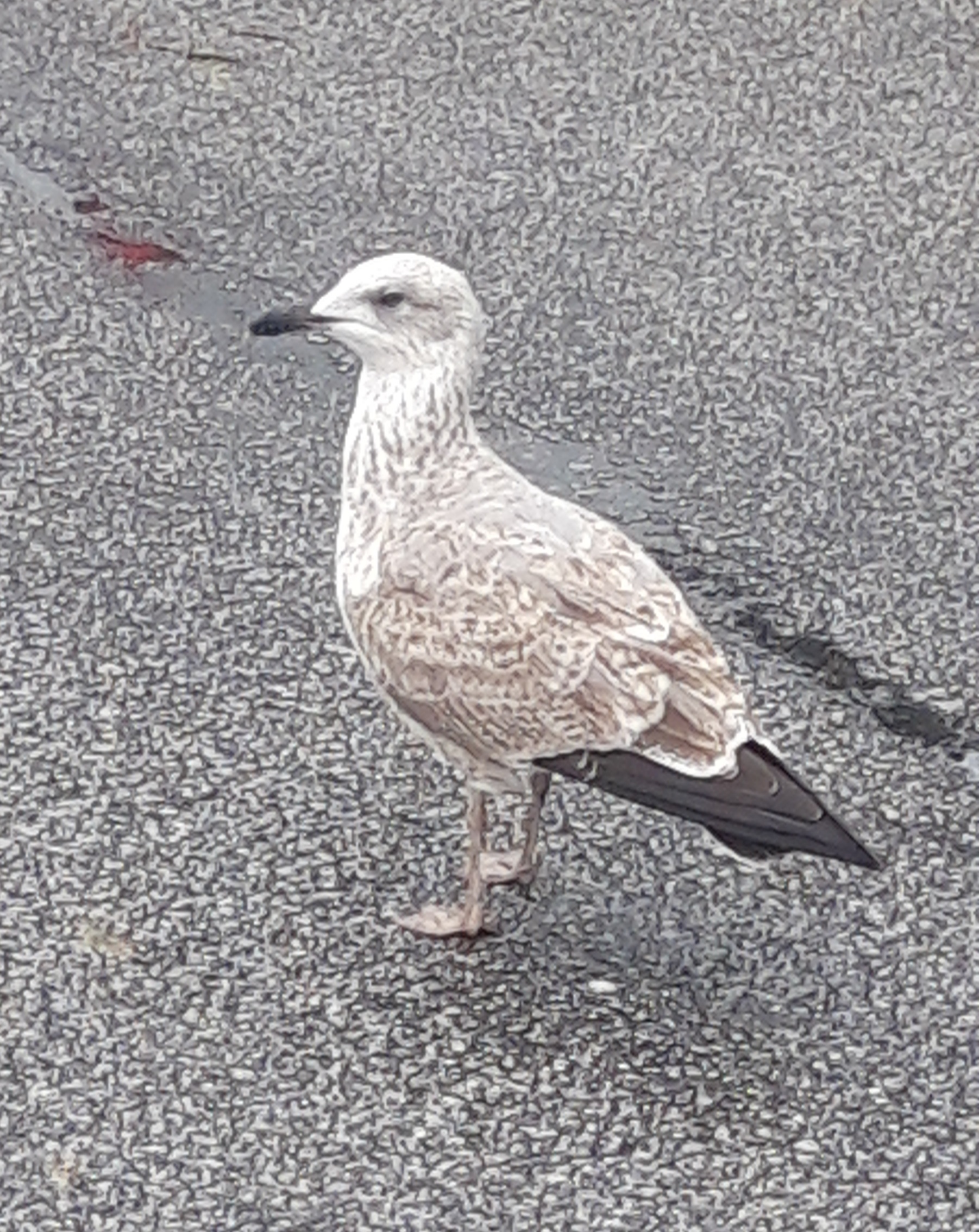 20201217_092702.jpg