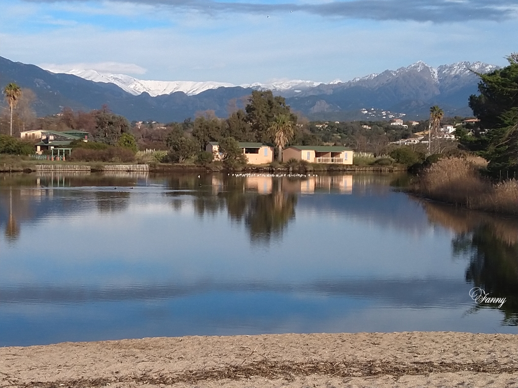 IMG_20210127_153538 signée.jpg