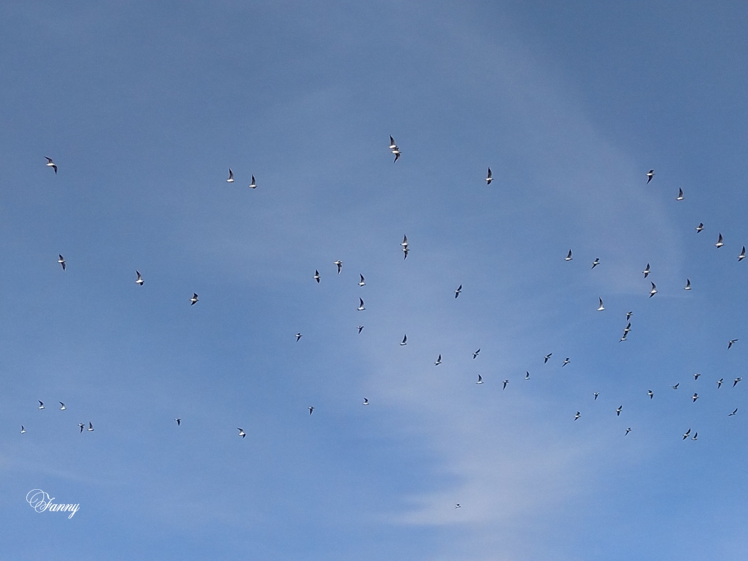 IMG_20210127_153312 (2).jpg