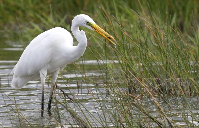 _mg_8649---copie-39510a5 (3).jpg