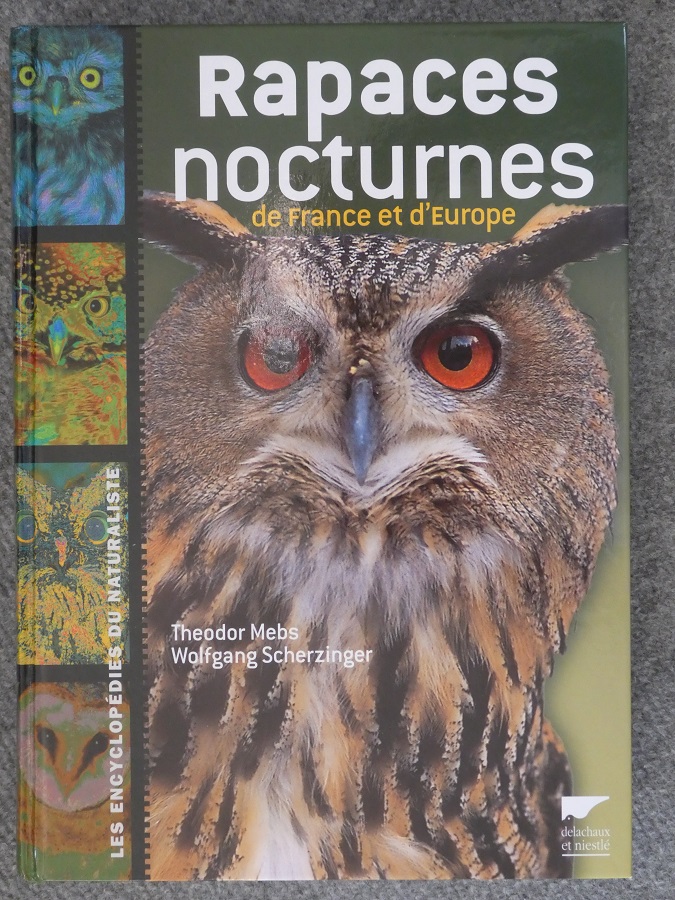 Rapaces nocturnes.jpg