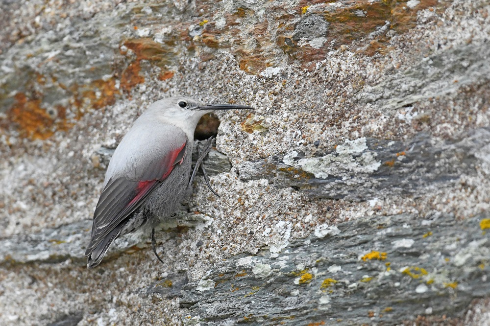 _DSC6877 - Copie (2).jpg