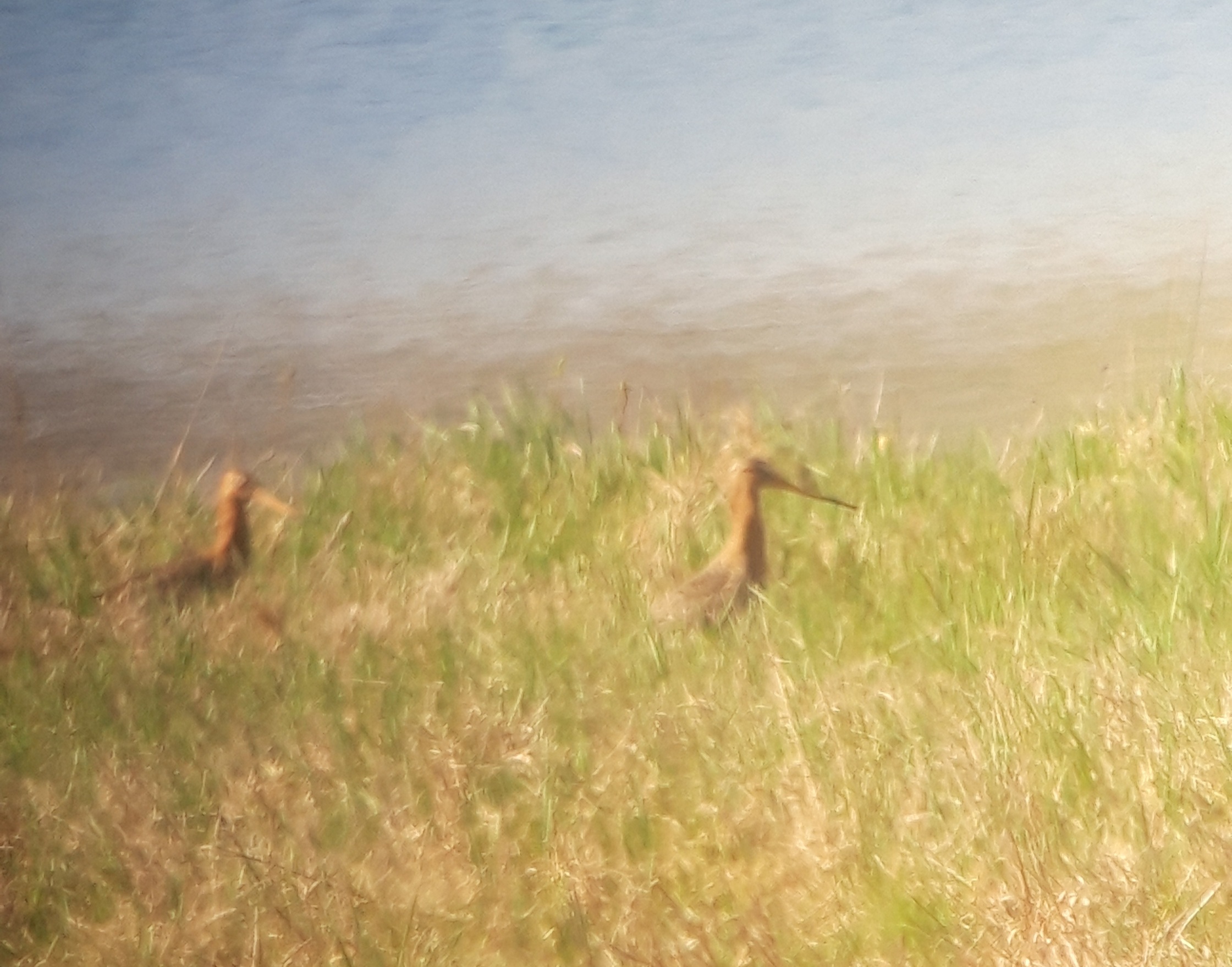 20210404_201930.jpg