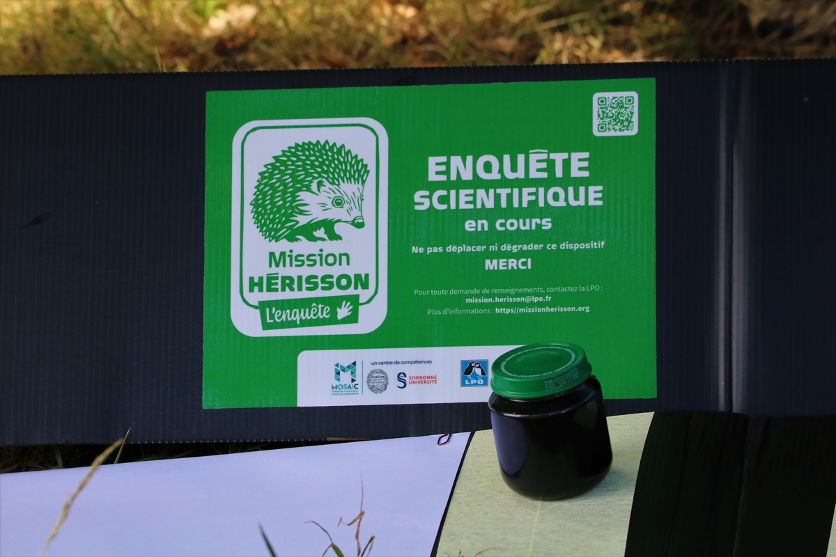 Tunnel à empreintes (1).JPG