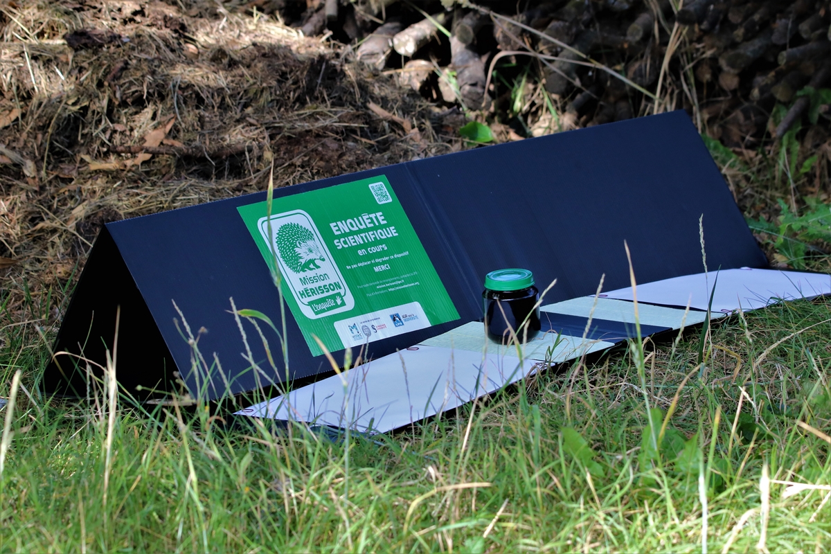 Tunnel à empreintes (2).JPG